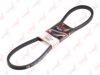 LYNXauto 17X1175LB V-Belt